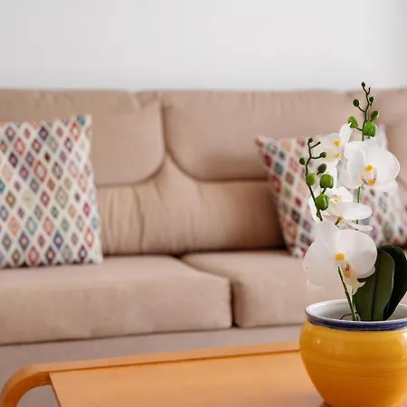 House Of Apartment *